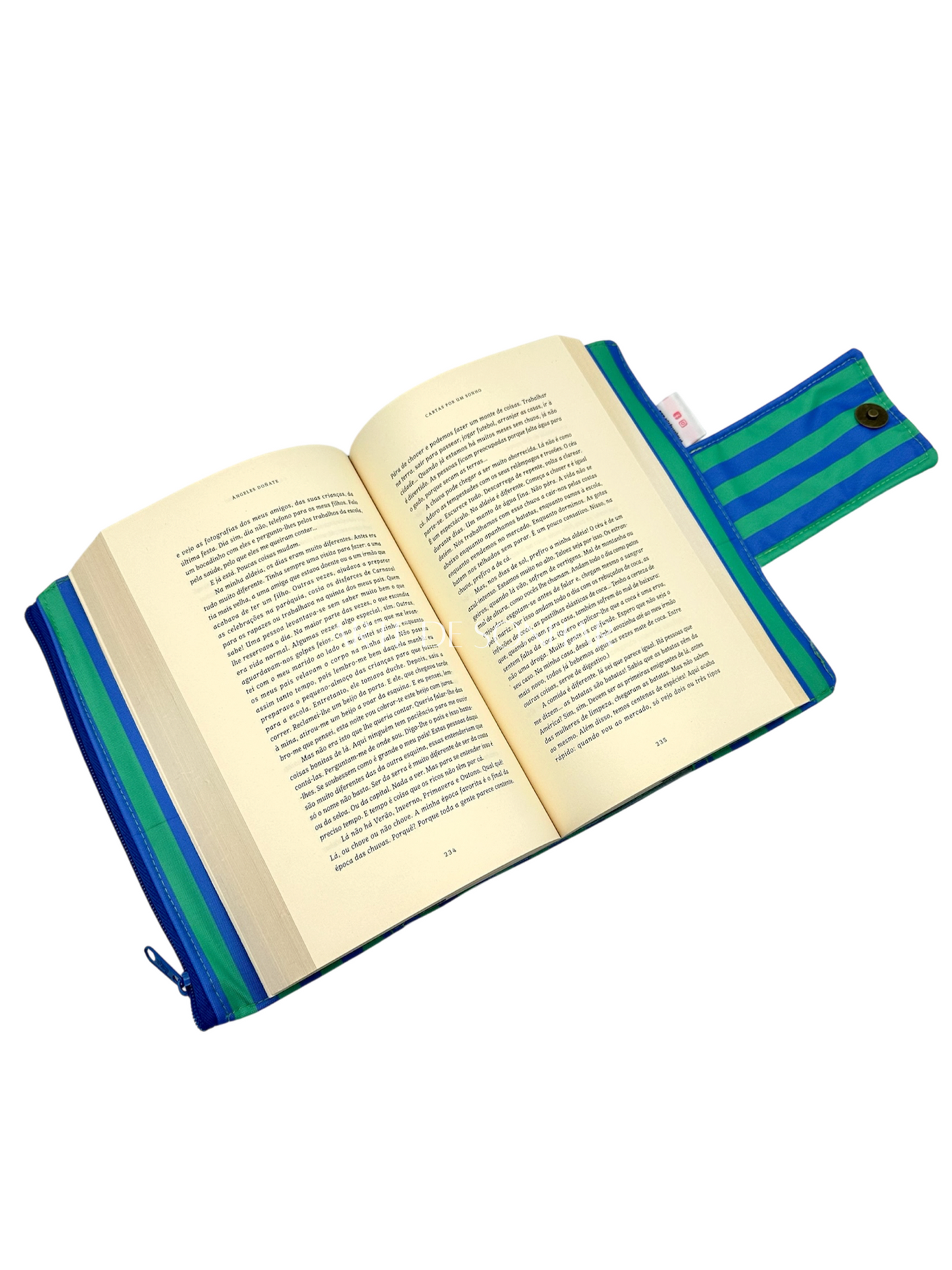 Capa de livro com riscas azul e verde